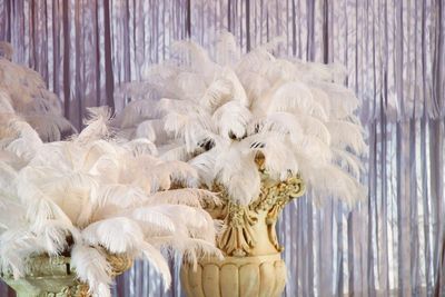 Large decorative feather vases