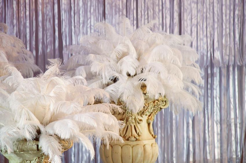 Large decorative feather vases